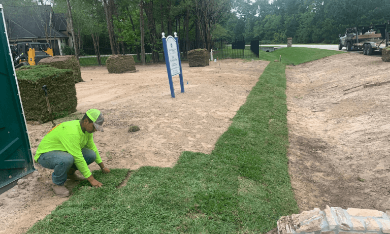 St augustine grass sod near me