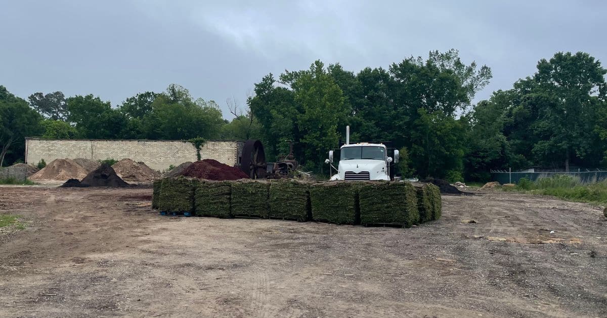 Sod Near Me Buy Fresh St Augustine Sod Daily Spring The Woodlands 