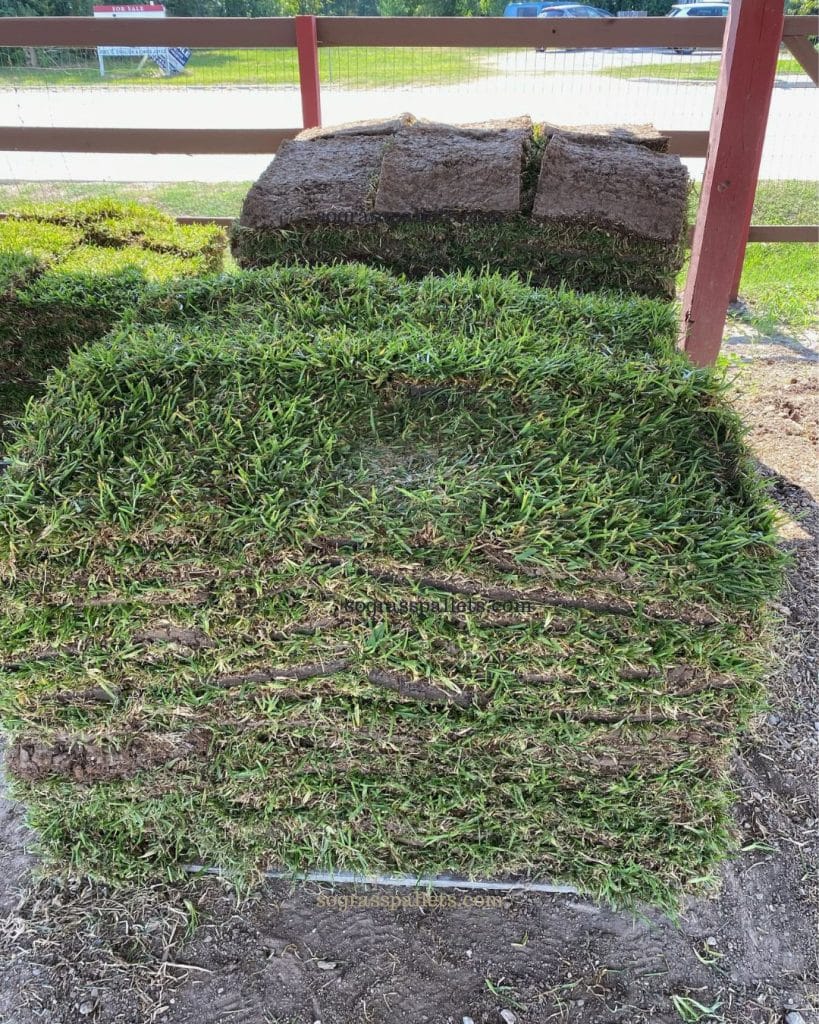 Houston turfgrass pricing on fresh St. Augustine sod pallets